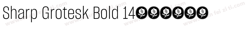 Sharp Grotesk Bold 14字体转换